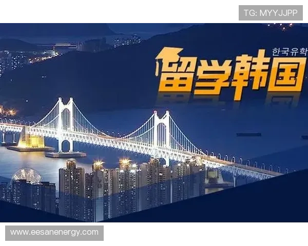 掌握开云体育官方登入网站的常见问题及解决方案