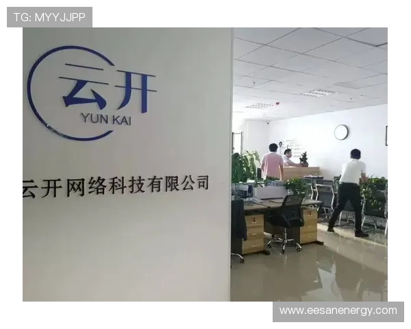 开云体育app评价：应用程序的稳定性与技术支持服务的详细分析